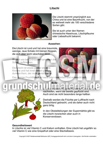 Litschi.pdf